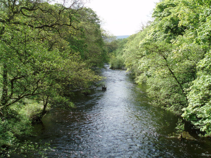 From Yorkshire Bridge From Yorkshire Bridge